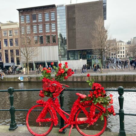 Ein mit roten Blumen geschmücktes Fahrrad steht an einem Kanal vor modernen und historischen Gebäuden.