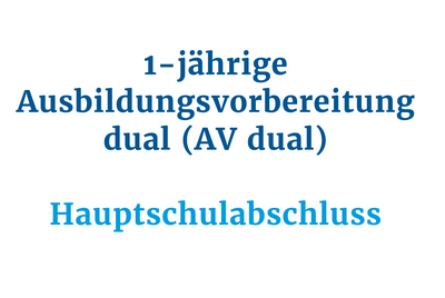 Ein 1-jähriger Kurs zur dualen Ausbildungs­vorbereitung wird für den Hauptschulabschluss angeboten.